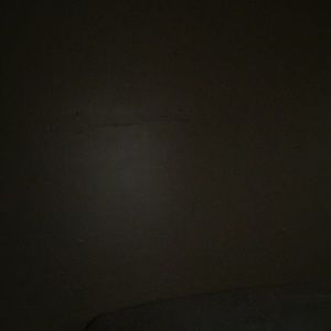 Meet your Posher, Billy